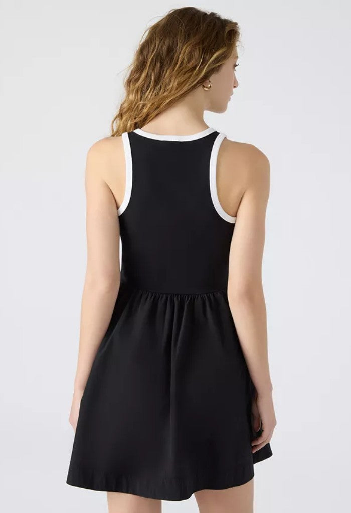 Steve Madden Tottenham Dress-Black/White